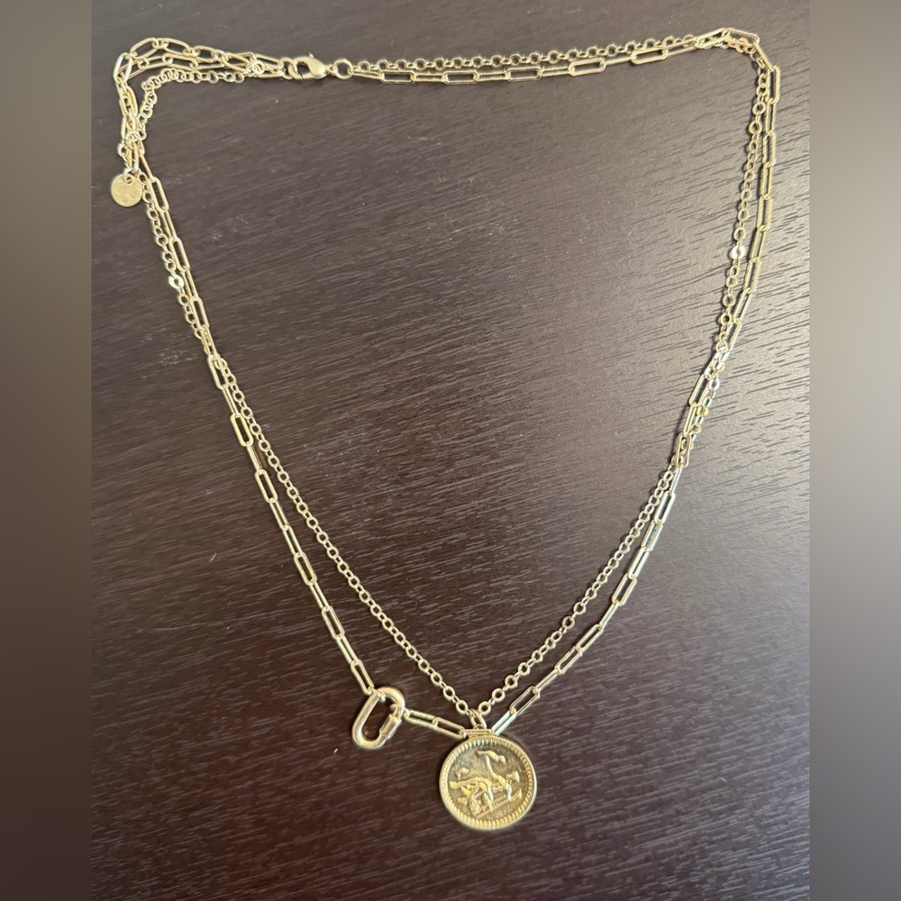 Gold Layered Necklace with Coin Pendant